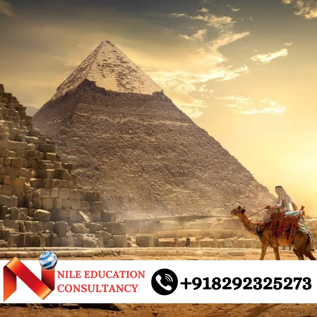 Alexandria University Lab